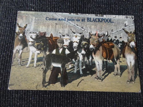 Come and join blackpool - come,